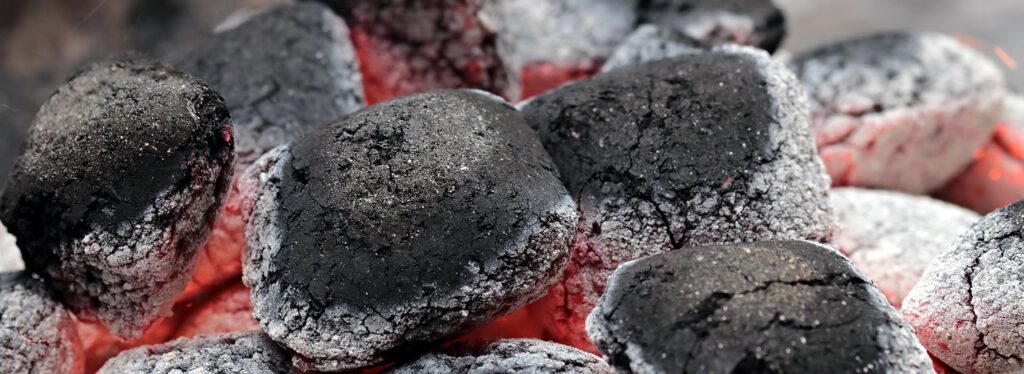 Braci per barbecue. Ph by Pixabay