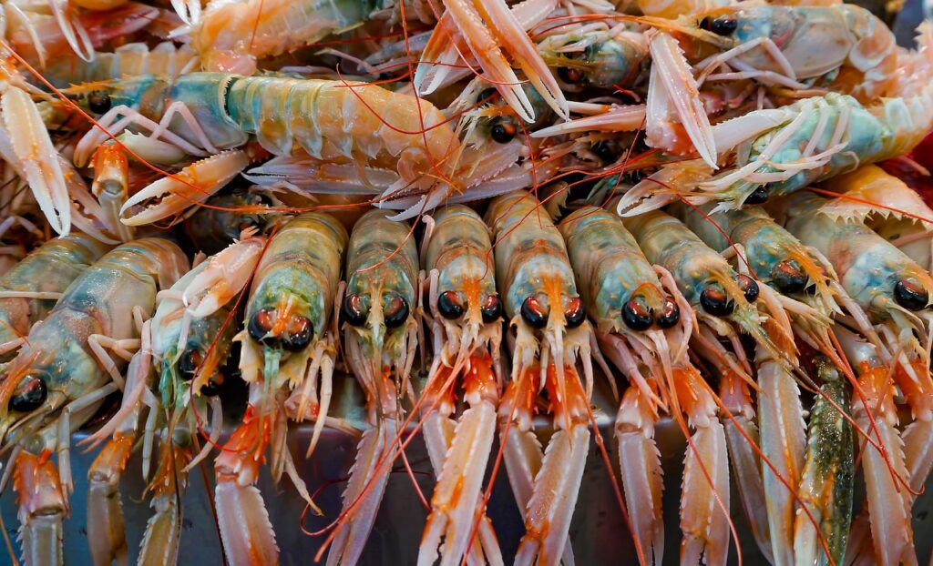 scampi-mercato-pesce