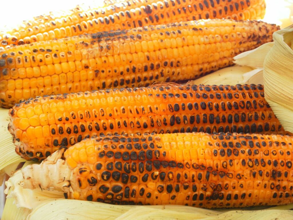 pannocchie contorni alla griglia