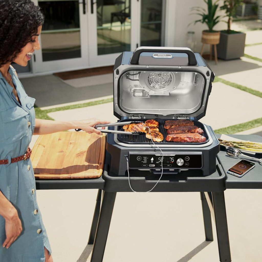 barbecue elettrico con affumicatore 
