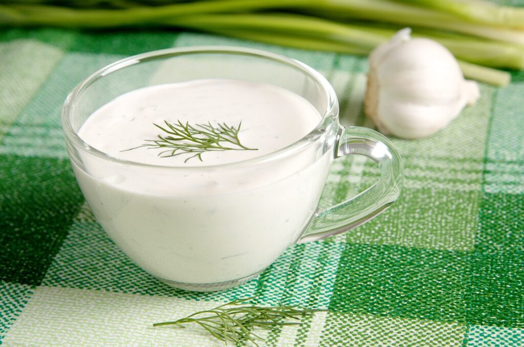 salsa yogurt aneto 