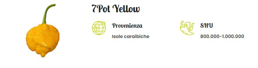 7 pot yellow