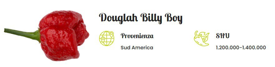 douglah billy boy