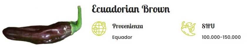 peperoncini ecuadorian brown