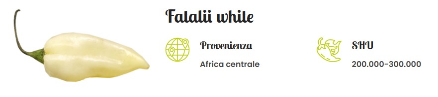 Pepper maremma fatalii white
