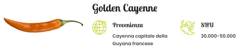 Golden Cayenne
