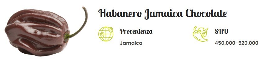 habanero jamaica choccolate