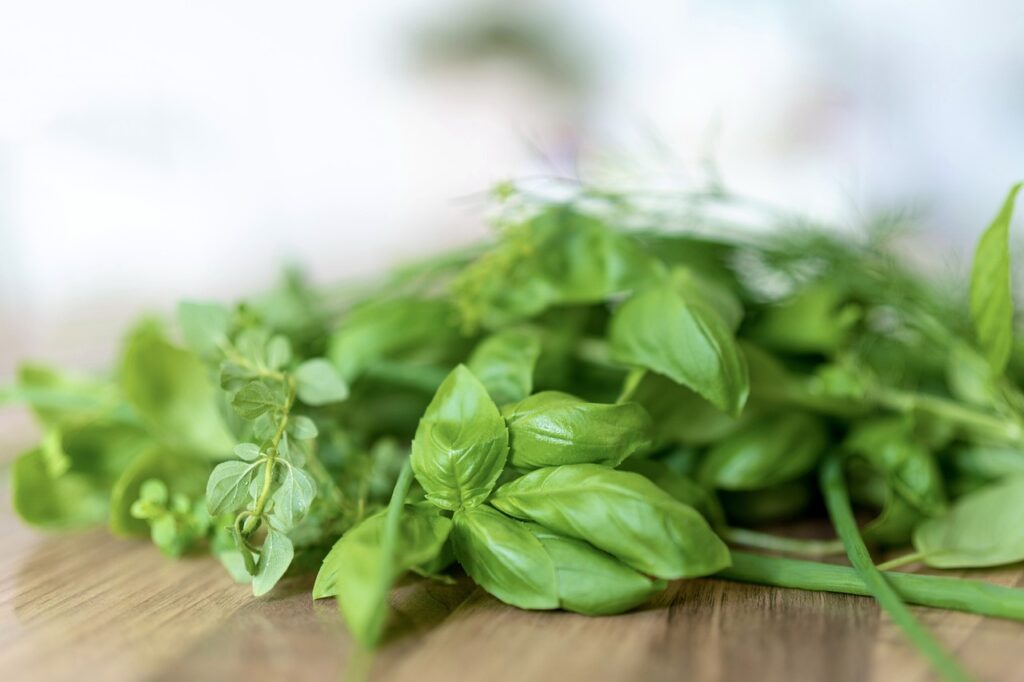 foglie di basilico