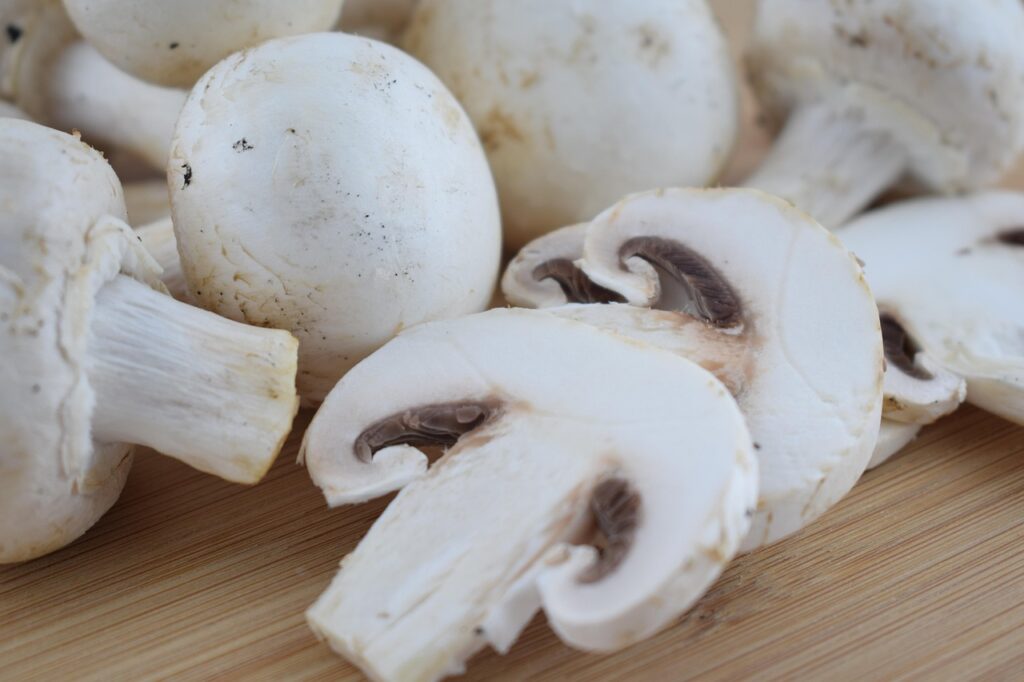 champignon funghi trifolati 