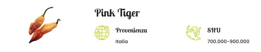 pink tiger