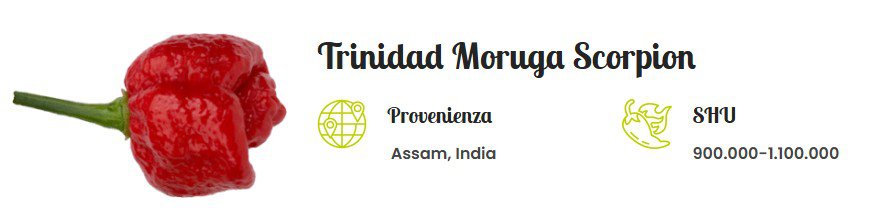 trinitad moruga scorpion