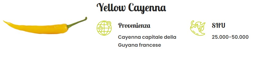yellow cayenna