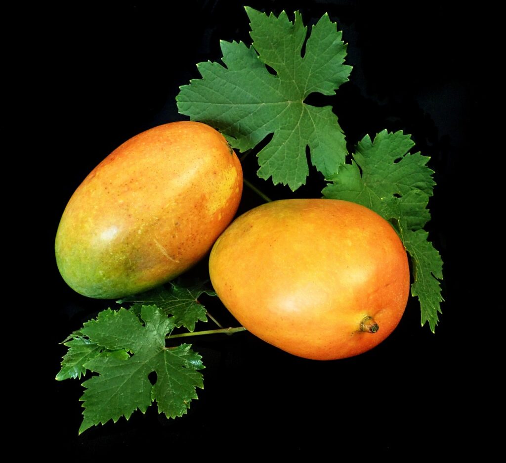 salsa mango habanero orange 