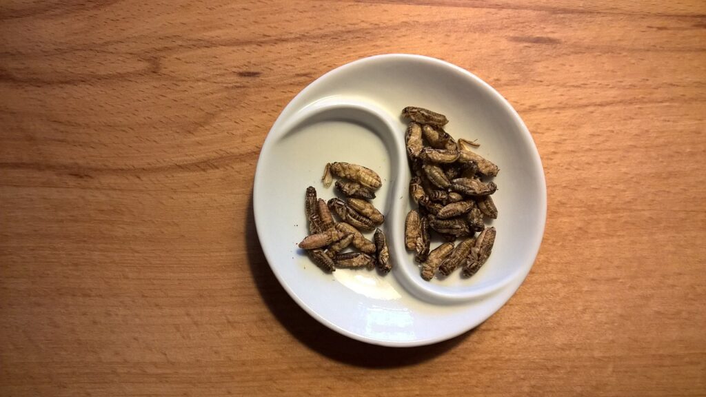 piatto di grilli