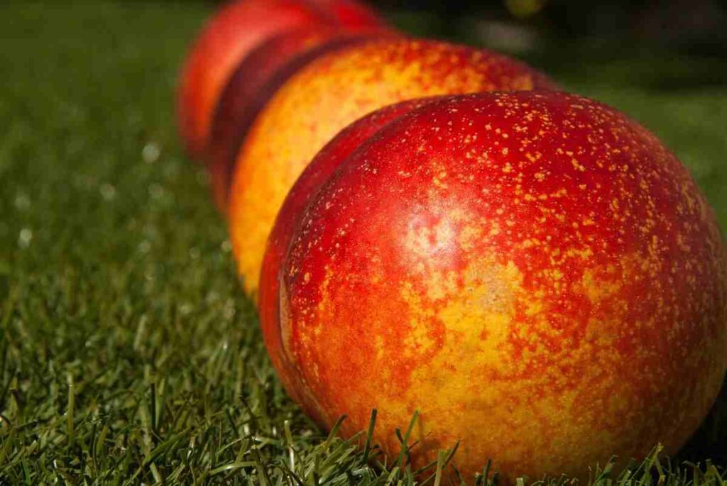 pesche noci mature