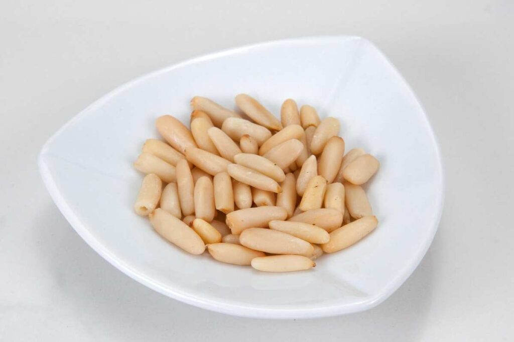 ricette antiche pinoli Isicia Omentata