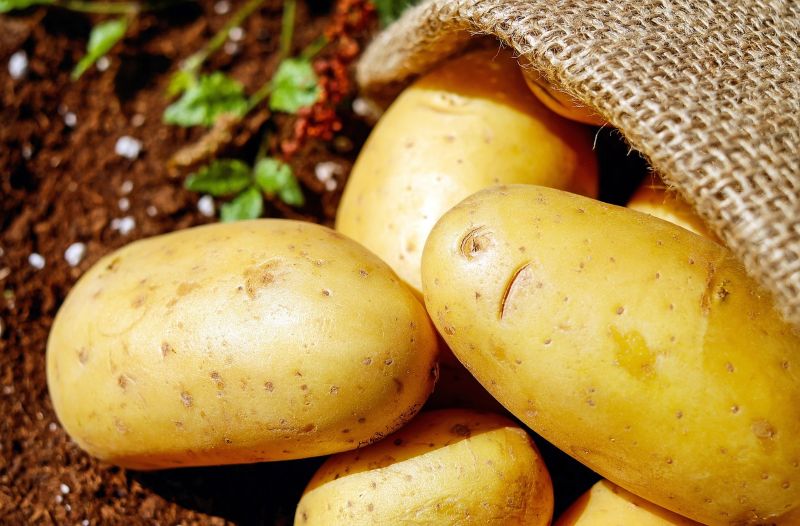 patate pasta gialla 