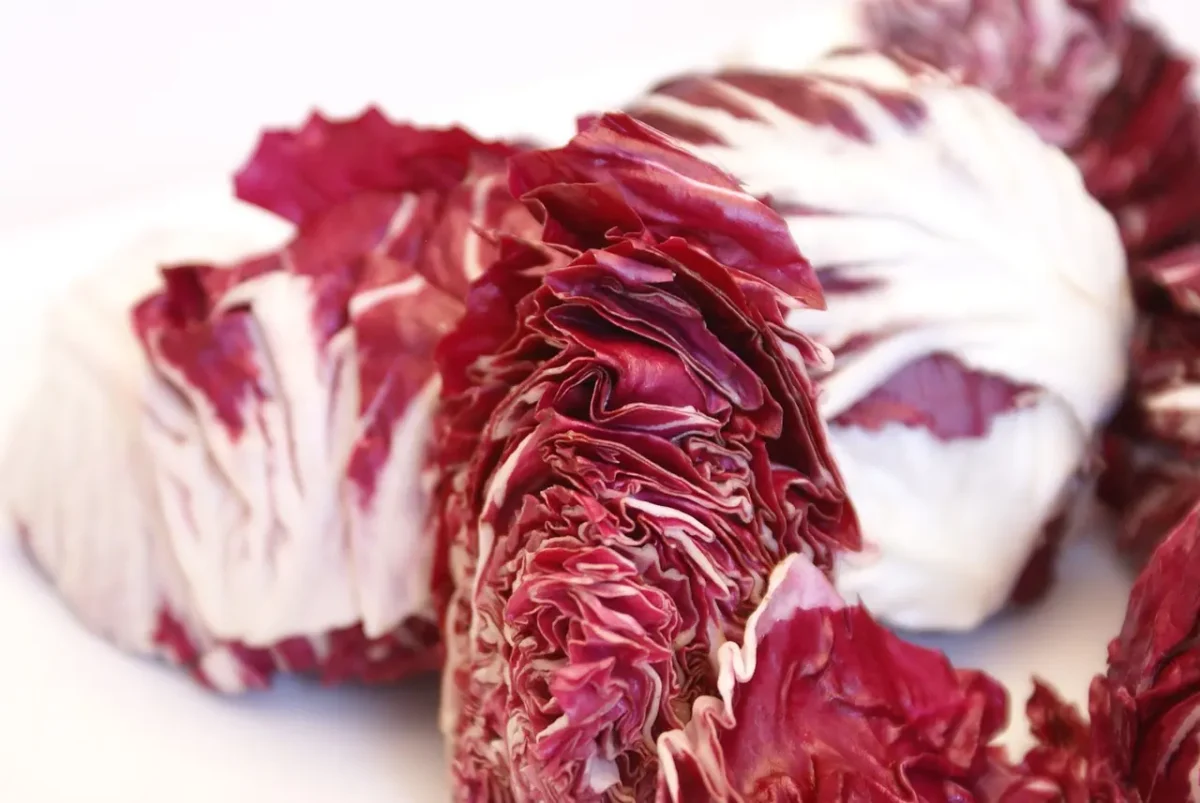 radicchio alla piastra ingredienti