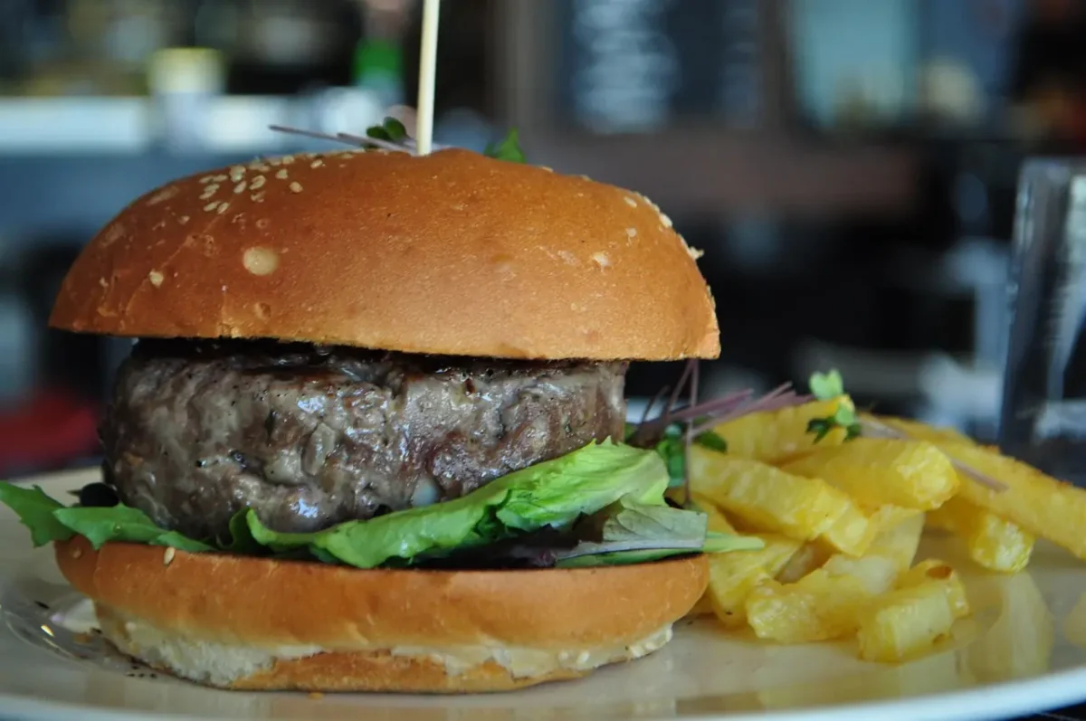 miglior carne per fare gli hamburger